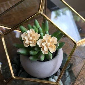 Bone White Flower stud earrings